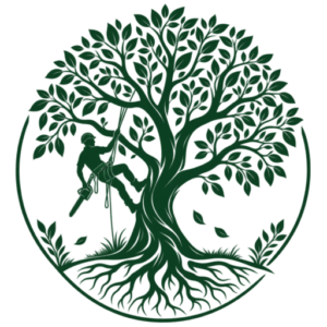 Logo fond transparent johann services